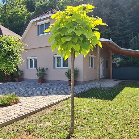 Vizparti Nyaralo Villa Fonyod Ngoại thất bức ảnh